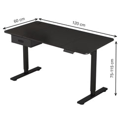 Electric Standing Desk, Sit Stand Table, Height Adjustable Electric Standing Computer Desk with USB Charging Port and Desk Drawer for Home Office