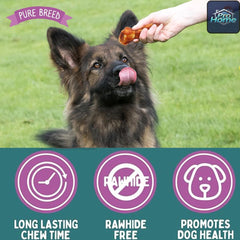 Collagen Chewy Knots for Dogs | Healthy Rawhide Alternative | Beef Flavour Long-Lasting Chews | Pack of 2 Assorted flavour