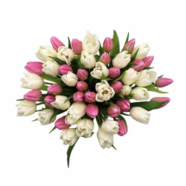 50 Stem Mother'S Day Tulip Bouquet with Greetings Card