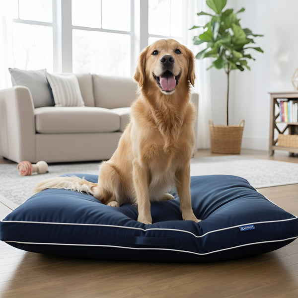 Dog Bed Waterproof, Plush Dog Mattress, Machine Washable, Medium & Large Sized, Cozy Dog Bed, Dog Sleeping Mattress, Black, Grey, Blue, Charcoal & Silver