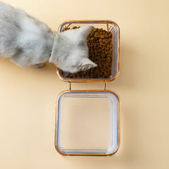 Transparent Double Cat Bowl With Vertical Design For Easy Feeding And Hydration