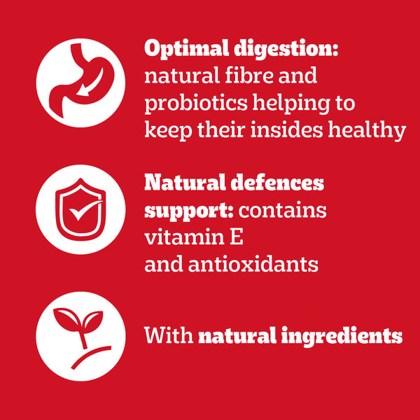 120 x 100g Pedigree Adult Wet Dog Food Pouches Mixed Selection in Jelly