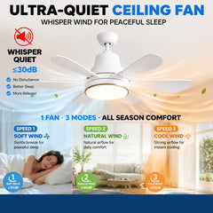 Modern Silent Ceiling Fan Lamp. Equipped with 6-Speed Wind Speed Adjustment, Timer Function And Continuous Dimming Feature. Suitable for Living Rooms, Bedrooms And Offices. It Is a Must-Have Item for Spring And Summer.