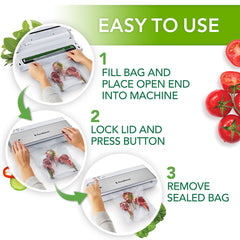Foodsaver Powervac Vacuum Sealer, VS0100