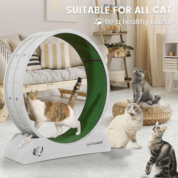1pc Indoor Assembly Cat Roller Treadmill, Silent Fitness Cat Treadmill Wheel, Plastic Treadmill for Pet Cats, Easy to Assemble and Clean