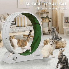 1pc Indoor Assembly Cat Roller Treadmill, Silent Fitness Cat Treadmill Wheel, Plastic Treadmill for Pet Cats, Easy to Assemble and Clean