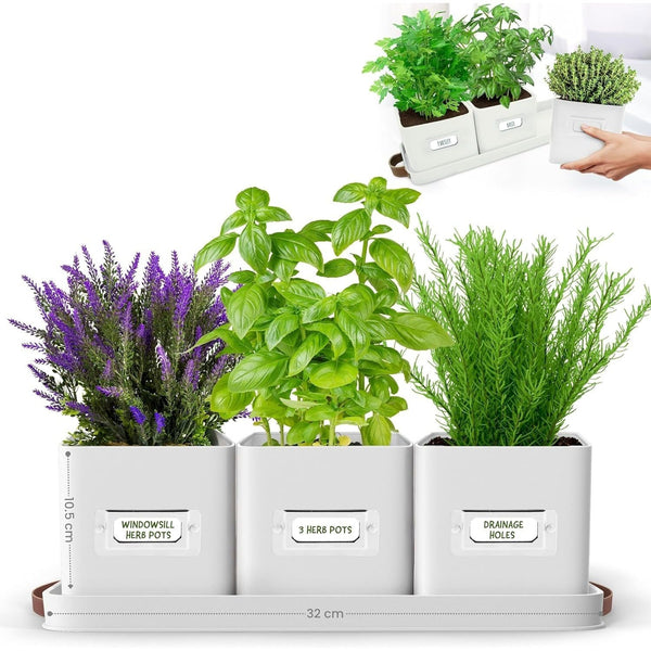 Herb Pots for Kitchen Windowsill - Set of Herb Planter Indoor with Leather Handled Tray - Ideal for an Indoor Herb Garden, Plants and Flowers - Labels Included