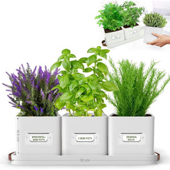 Herb Pots for Kitchen Windowsill - Set of Herb Planter Indoor with Leather Handled Tray - Ideal for an Indoor Herb Garden, Plants and Flowers - Labels Included