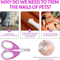 Professional-Grade Pet Nail Care Kit with Safe Nail Clippers & Files - Multiple Sizes for Cats & Dogs, Serrated & Smooth Trimming & Smoothing Tools, Durable Ergonomic Design for Home Grooming, Healthy Paws (Ideal for Small to Large Breeds), Dog Toenail Cl