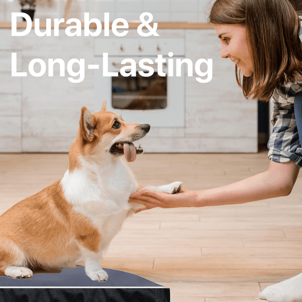 Waterproof Dog Bed, Plush Dog Mattress, Charcoal, Machine Washable, Medium & Large Sized, Cozy Dog Bed, Dog Sleeping Mattress
