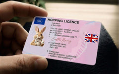 Easter Bunny Lost Hopping Licence - Fun Magical Keepsake - Premium Quality Plastic Card
