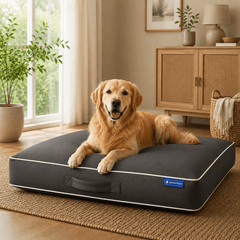 4B Waterproof PetRest Dog Bed Soft Washable Pet Cushion for Small Medium and Large Dogs Indoor Use