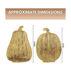 Marco Paul Extra Large Gold Light Up Pumpkin & Squash Pair - 2 Pack Autumn Decorations with Warm LED Lights & 6hr Timer - Plastic Pumpkins for Halloween Ornaments, Autumnal Decor & Seasonal Styling
