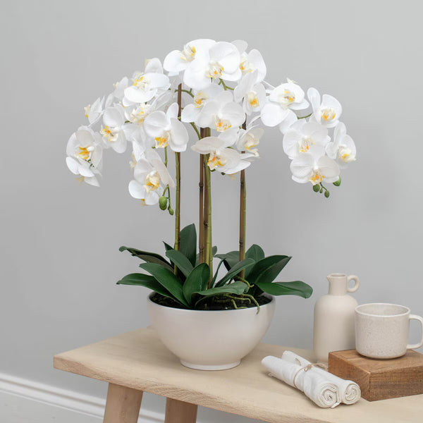Artificial Orchid in Ceramic Pot in Pink