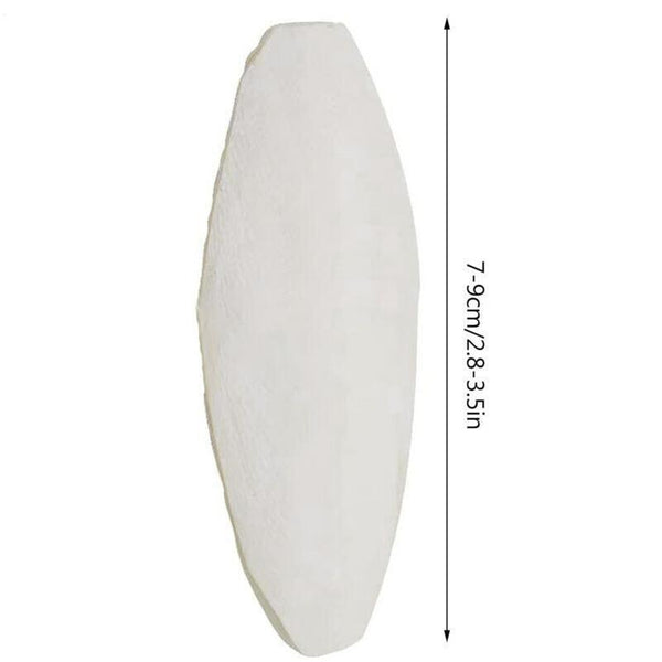 10pcs Cuttlebone for Birds, Cuttlefish Bone Calcium Supplement Set, Mineral Chew Toy, Pet Bird Food Supply, Ideal for Parrots, Budgies, Cockatiels, And Other Pet Birds' Health Care