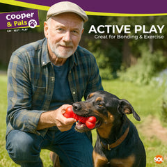 Mix It Play Pack 3pk Dog Toy Set | Includes Rope Pull Toy, Squeaky Bone & Play Ball | Durable, Lightweight Toys for Small & Medium Dogs | Great for Chewing, Tugging & Fetching