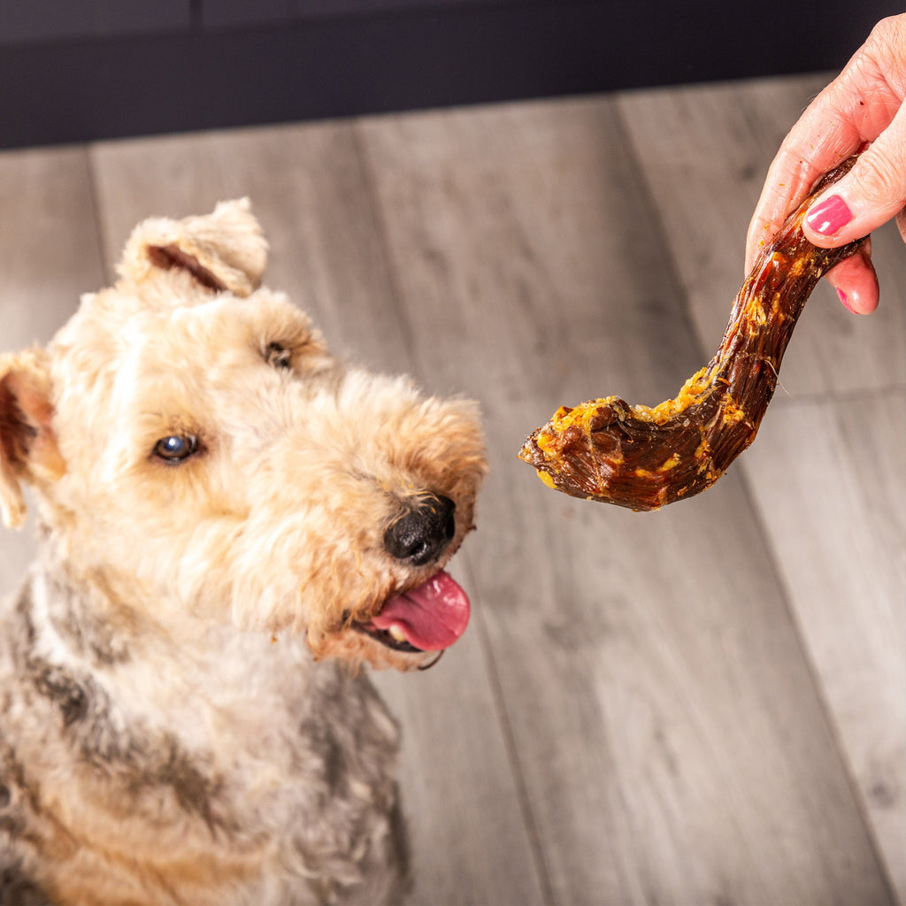 Duck Necks Pet Treat UK
