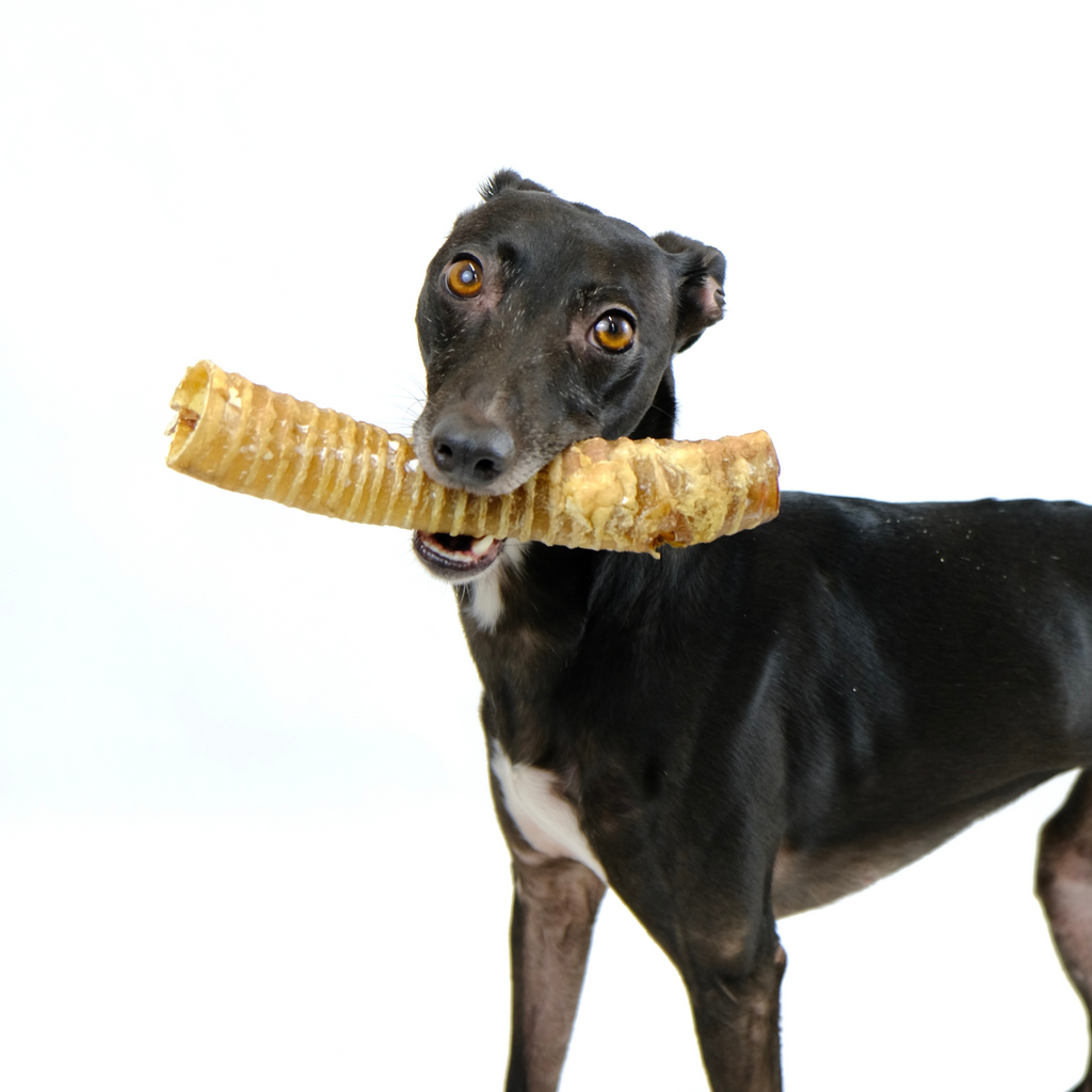 25-40cm Trachea (1kg & 4kg)