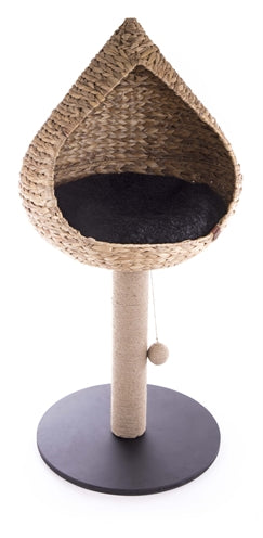 Water Hyacinth Cat Tree