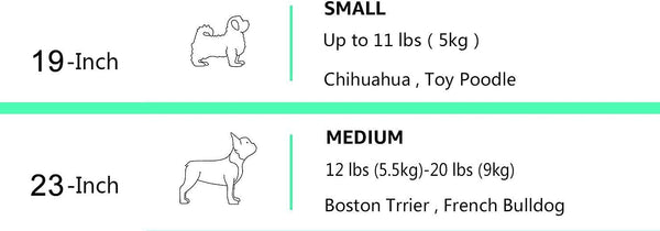 Cherish Lewis Basics 23-Inch (58 cm) Two-Door Top-Load Pet Kennel