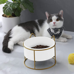 Cherish Lewis Adjustable Tilted Elevated Cat Ceramic Bowl