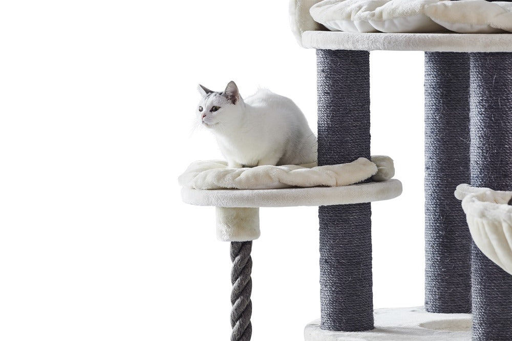 Ragdoll Arda Fantasy Cat Tree