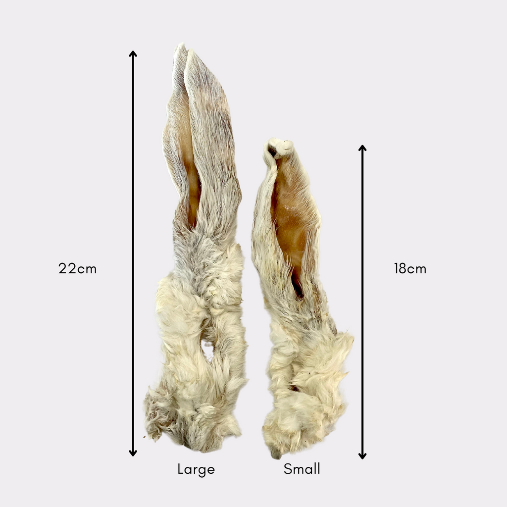 Small Hairy Rabbit Ears (1kg & 12kg)