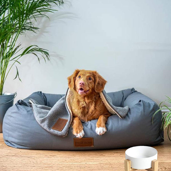 Cherish Lewis Ceramic Dog and Cat Bowl with Wood Stand