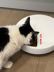 Automatic Pet Feeder up to 330g in Each Plate C500