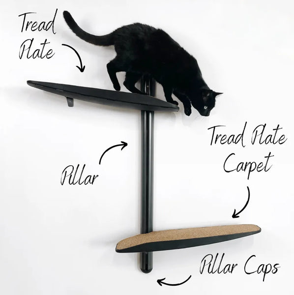 Pro Cat Climber