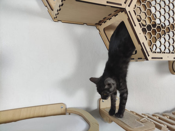 The James Adventure Cat Tree and  Wall Shelf All in One Set (Light)