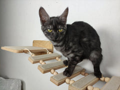 Cat wall bridge light