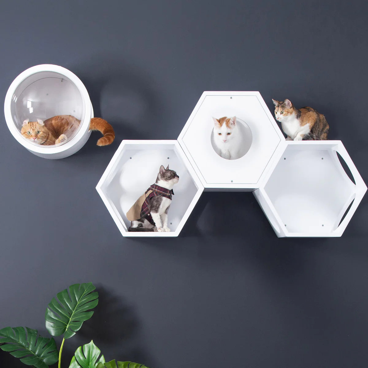 VERTICAL CAT WALKWAY | BLANC BUNDLE (ALL-WHITE)