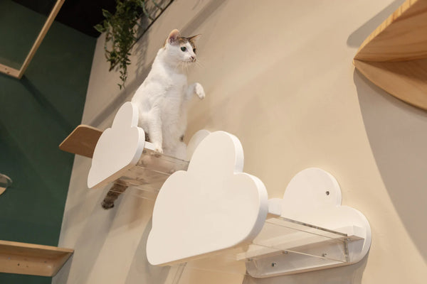WALL-MOUNTED CLOUD SHAPED CAT PERCHES (WHITE)