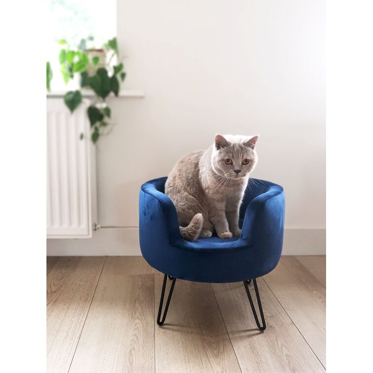 Pet Throne Round Elevated