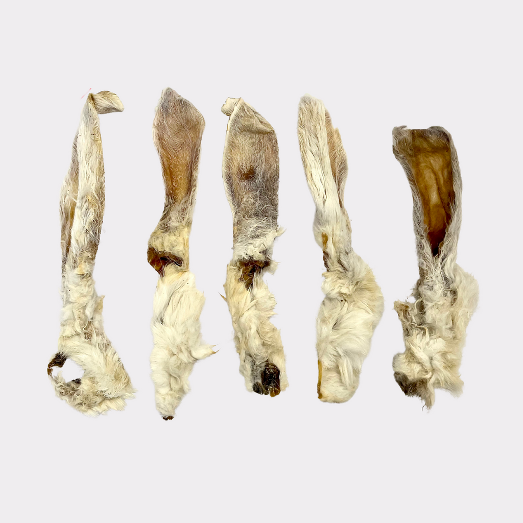 Small Hairy Rabbit Ears (1kg & 12kg) – CHERISH LEWIS