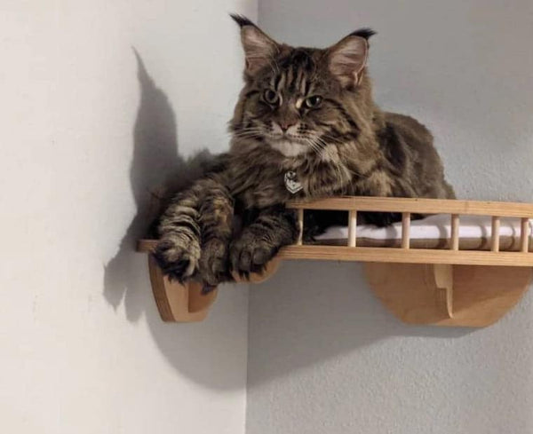 Cat corner shelf – Light