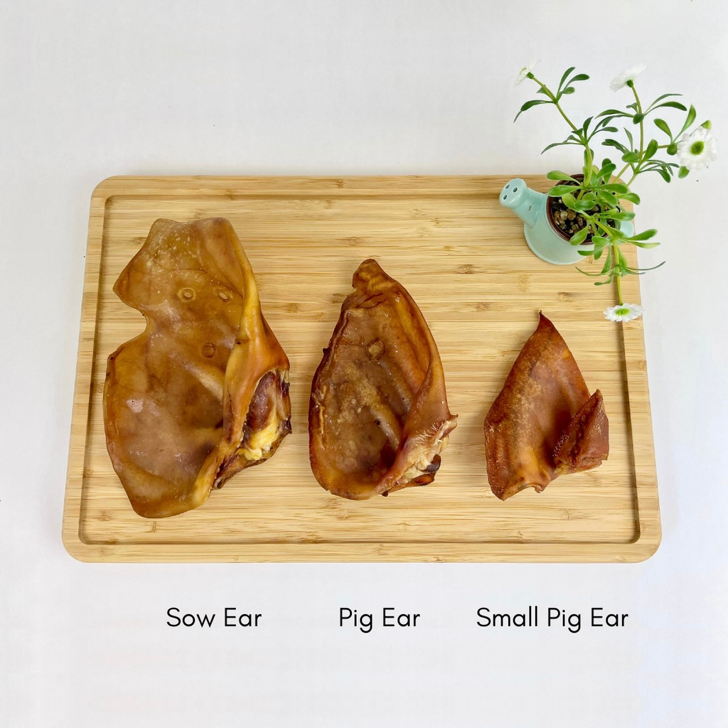 Pigs Ears - Grade A (10pcs & 50pcs nets)