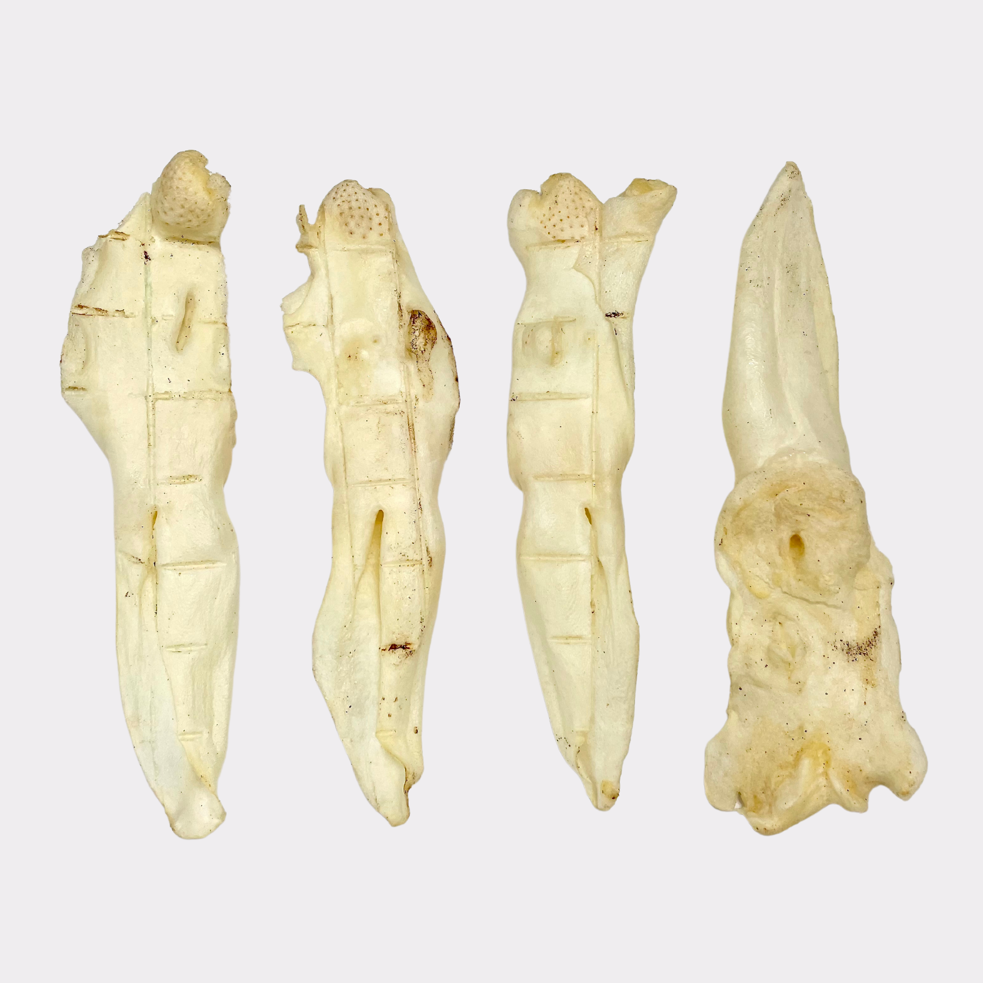 Plain Rabbit Ears (250g, 500g & 1kg bags & 8kg boxes) – CHERISH LEWIS