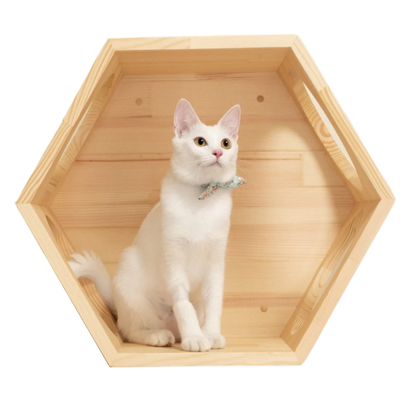 VERTICAL WOODEN CAT WALKWAY | CLASSIC BURLY WOOD BUNDLE