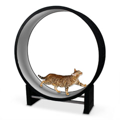 Cat in Motion Wheel (Black and Grey)
