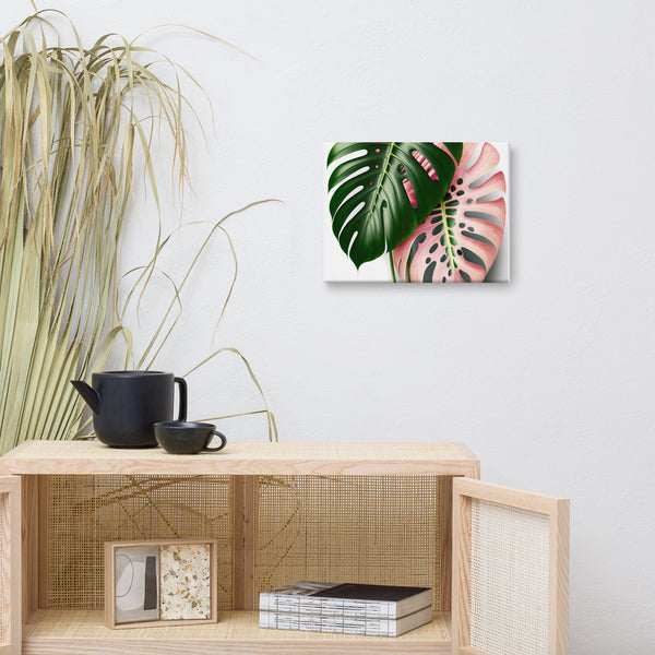 Pink Mostera Canvas Print