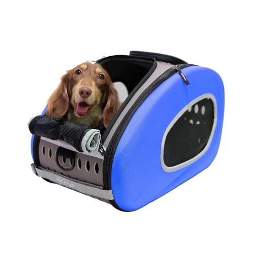 Ibiyaya® | 5-in-1 Combo EVA Pet Carrier / Stroller | Luxury Package | Royal Blue