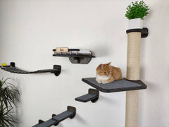 Cat furniture set “BONY” – Dark