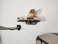 Cat furniture set “BONY” – Dark