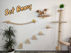 Cat furniture set “BONY” – Light