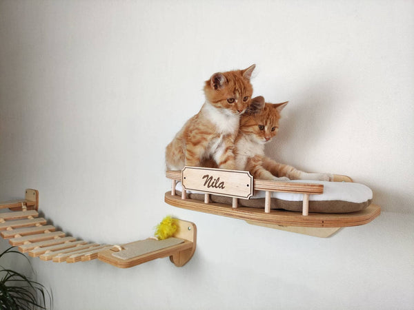 Cat furniture set “BONY” – Light