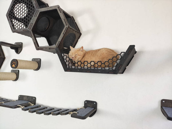 The James Adventure Cat Tree and  Wall Shelf All in One Set (Dark)