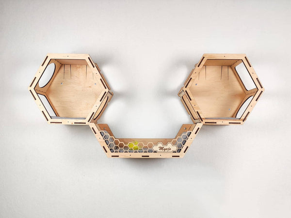 Hexagon set “Symmetry” – Light