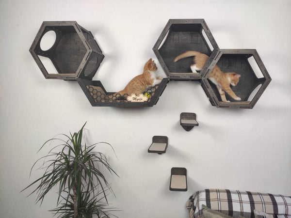 “Play & Rest” Hexagon shelves set – Dark